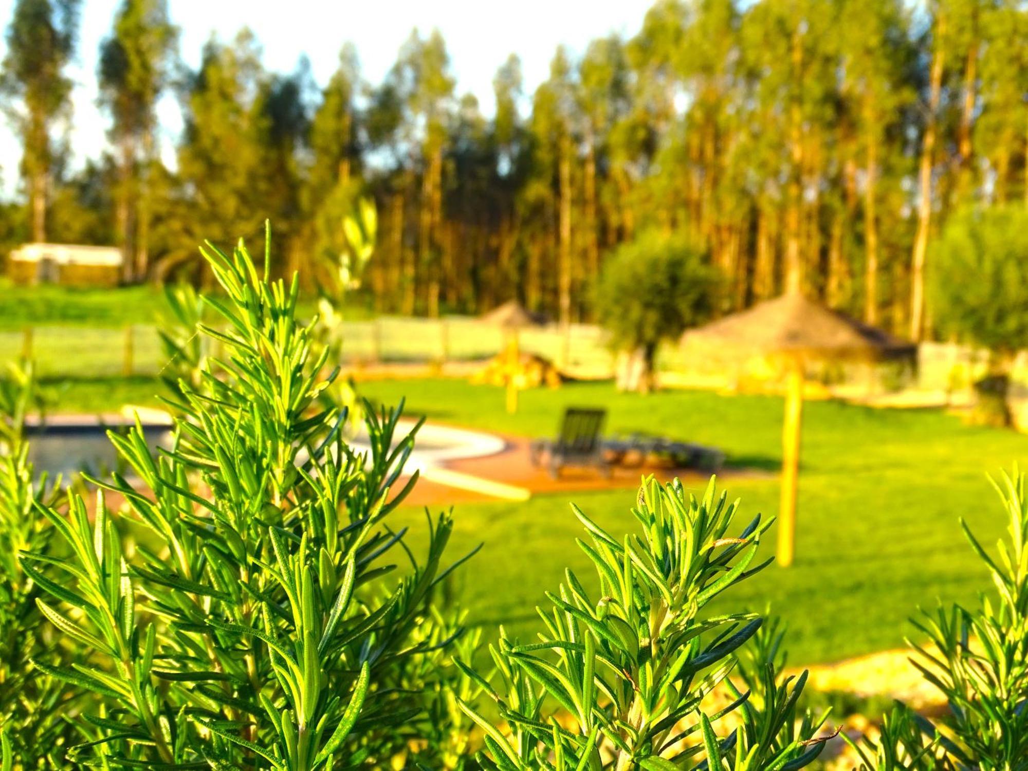 Herdade Vale De Gaios By Stay In Alentejo Sao Luis Luaran gambar